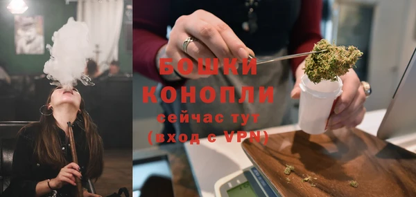 крисы Новокубанск