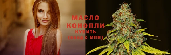 крисы Новокубанск