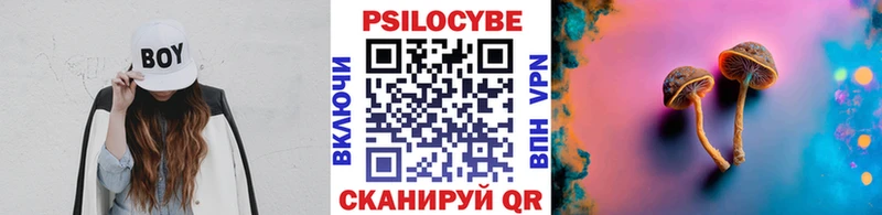 Псилоцибиновые грибы Psilocybe Ейск